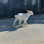 沖縄そば まるかみ - 