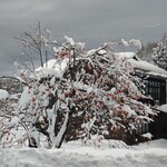 そば処 春来てっぺん - 