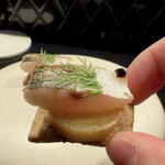 HIKARI - 長崎石持×薩摩とろ茄子×インカのめざめ