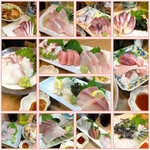 煮込 蔦八 - 老舗の刺し身が美味いのは何故か！