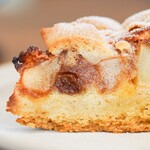 LILAC COFFEE ROASTER - 