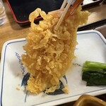 青葉 直利庵 - 海老天