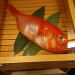 金目鯛の佐藤 - 