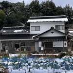 フレンチカフェ 10℃ - 