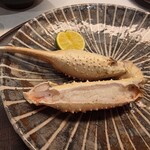 あらや滔々庵 - 