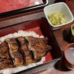 等々力 ひらさわ - 地焼き鰻の蒲焼