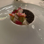 トゥールダルジャン - 