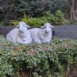 キャトルラパン - 新ダイビルの守護神