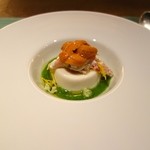 ［５回目］年末特別コース(8000円)・冷たいカリフラワーのパンナコッタ 生うにとズワイガニ ブロッコリーソース