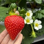 姫路ハートフル観光農園 - 