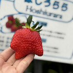 姫路ハートフル観光農園 - 