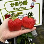 姫路ハートフル観光農園 - 