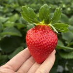 姫路ハートフル観光農園 - 