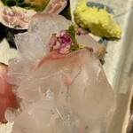 すしやのたい悟 - 朝〆鮃さんでーす。