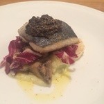 イタリア料理店 TAMANEGI - 