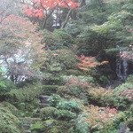 テラスレストラン - 滝もプールも庭園も、全て、2015年9月以降に解体され、いったん更地になるそうです。