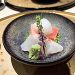 うなぎ 目白ぞろ芽 - 