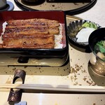 うなぎ 目白ぞろ芽 - 