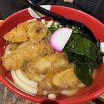 博多うどん酒場イチカバチカ - 肉ゴボ天うどん