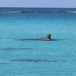 なかゆくい商店 - 