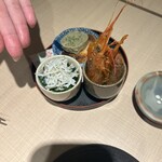 MESHIYA tamariba101 - 