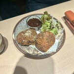 MESHIYA tamariba101 - 