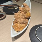 MESHIYA tamariba101 - 