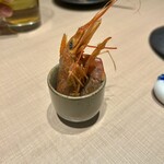 MESHIYA tamariba101 - 