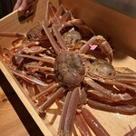 祇園 かにを喰らう - 