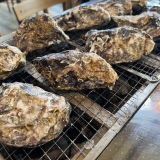 カキテラス波音_0