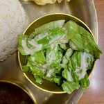 Solti HALAL KHAJA
