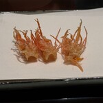 天ぷら ひさご - 特選天ぷらコースB