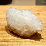 枯淡 - アオリイカ（追加）