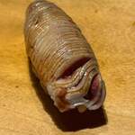 寿し おおはた - 