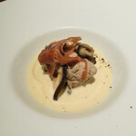 Plumier - 白カビのスープ。胡桃のパンが敷いていて、その上に鴨とか八色椎茸とか生ハムとか