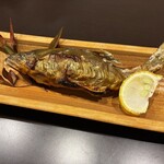 魚富 - 鮎の塩焼き
