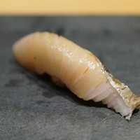 近松 - 鰆