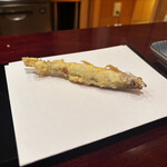 お座敷天婦羅 天政 - 