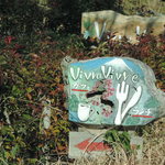 ビブラ ビブレ - 