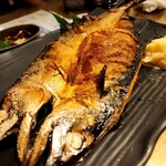 とろさば料理専門店 SABAR - 