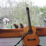 ビブラ ビブレ - 