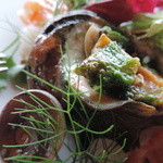 ビブラ ビブレ - 