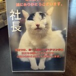 CHILL NEKO - 