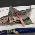 くずし割烹 しま正 - 