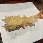 天ぷら浅沼 - クルマエビ