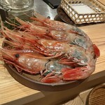 天ぷら浅沼 - ボタンエビ(　ﾟдﾟ)