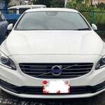 らぁ麺屋 はりねずみ - 