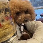 串カツ田中 - ホッピー白セットで乾杯♪