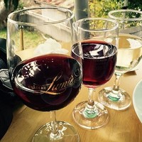 レストランゼルコバ - 