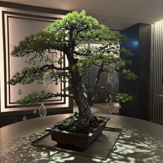 ジャヌ ラウンジ&ガーデンテラス_2